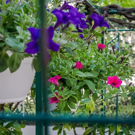 Heavenly Corner Apartment *